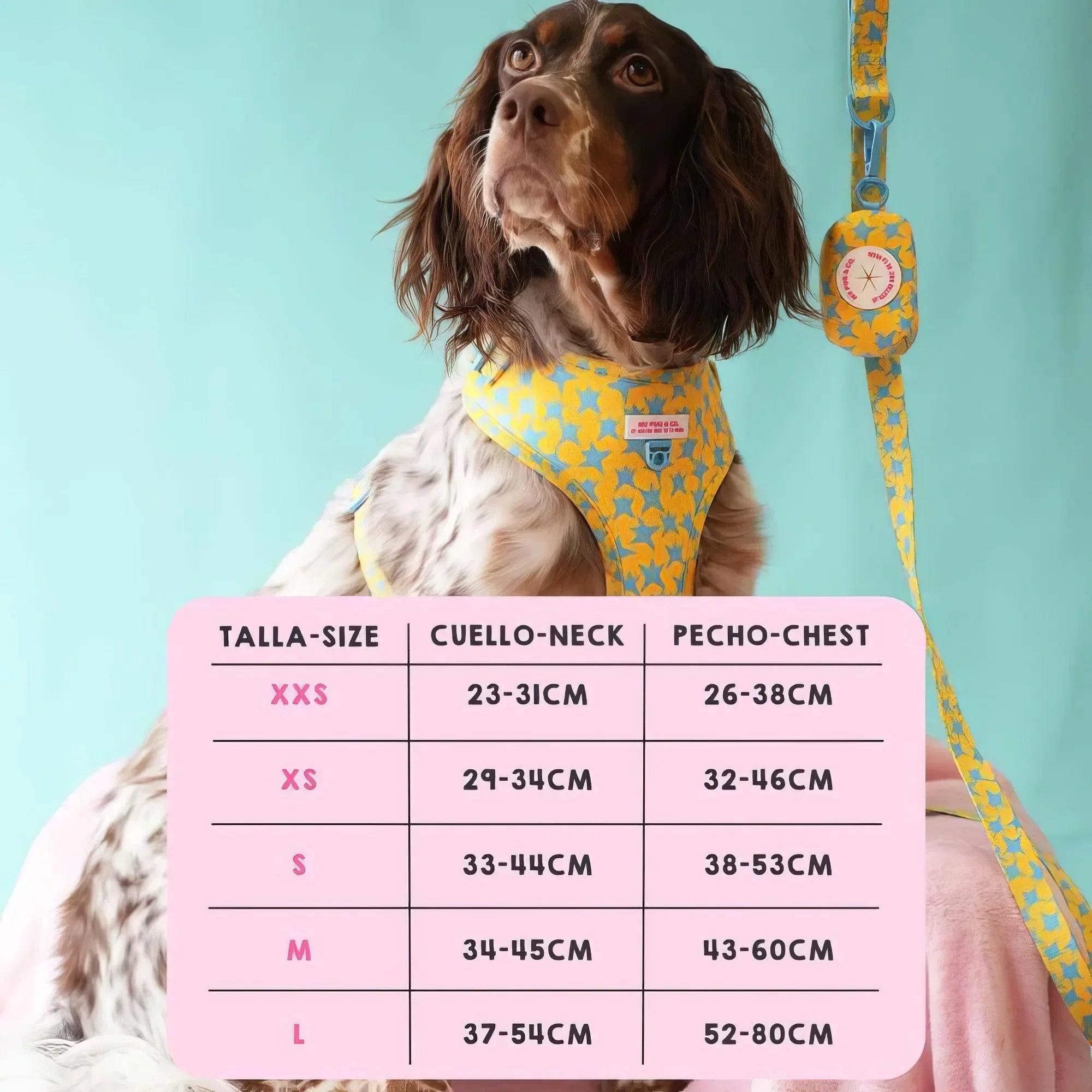 ARNES AJUSTABLE ESTRELLAS - Agatha Ruiz de la Prada