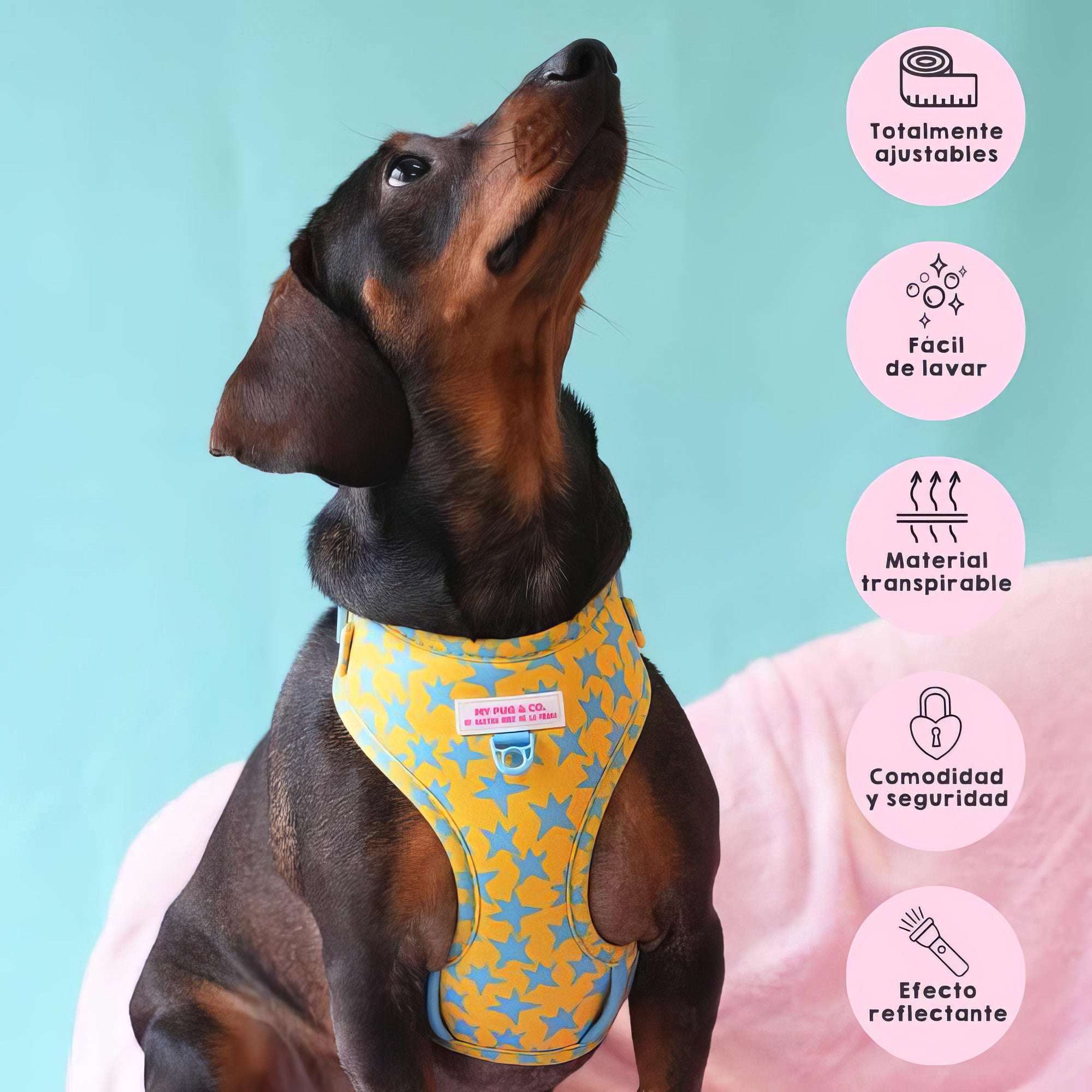 ARNES AJUSTABLE ESTRELLAS