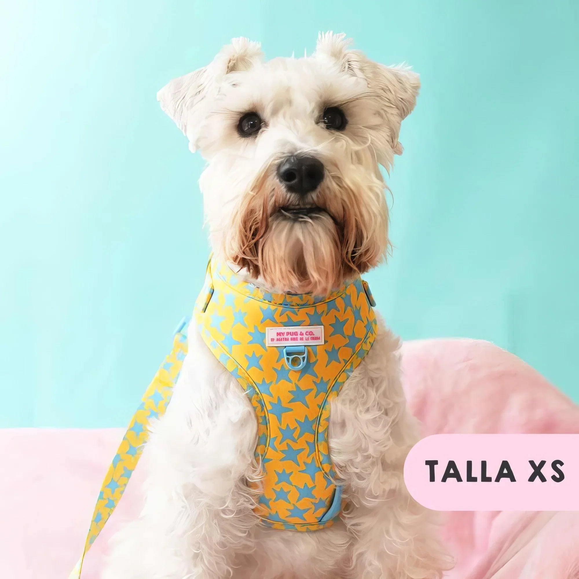 ARNES AJUSTABLE ESTRELLAS - Agatha Ruiz de la Prada