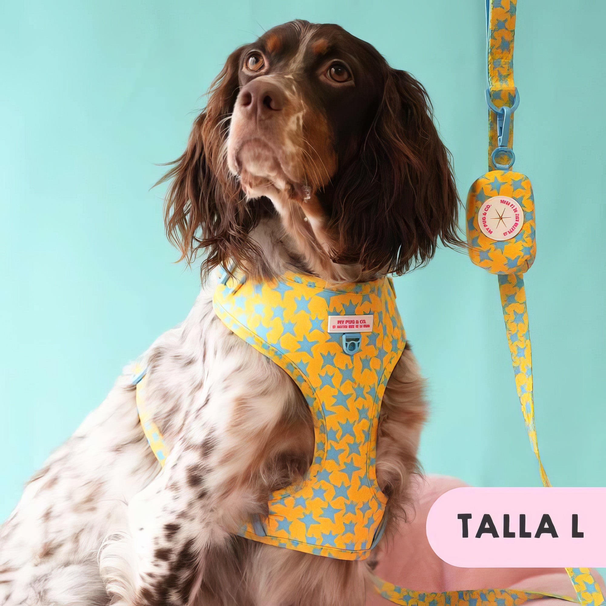 ARNES AJUSTABLE ESTRELLAS