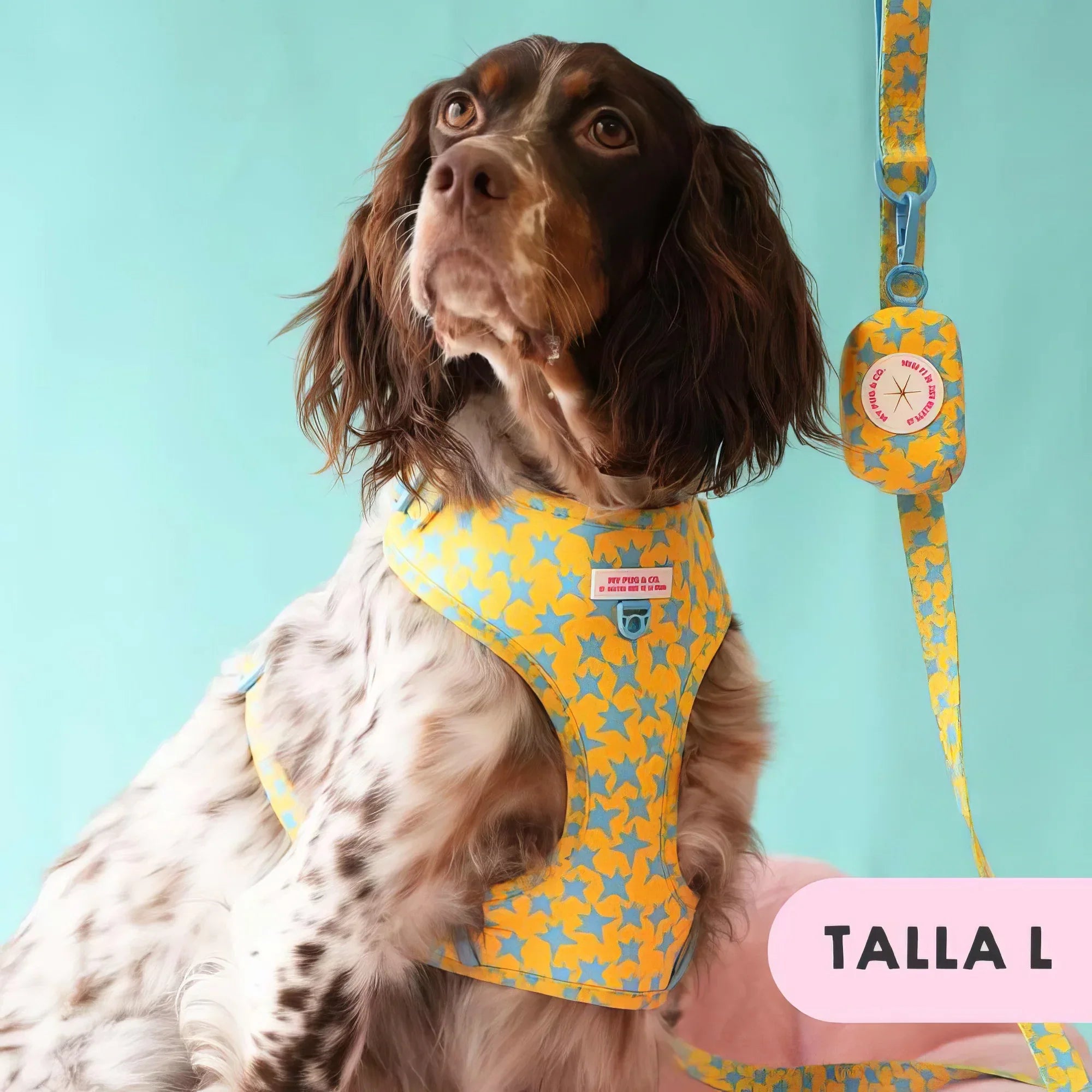 ARNES AJUSTABLE ESTRELLAS - Agatha Ruiz de la Prada