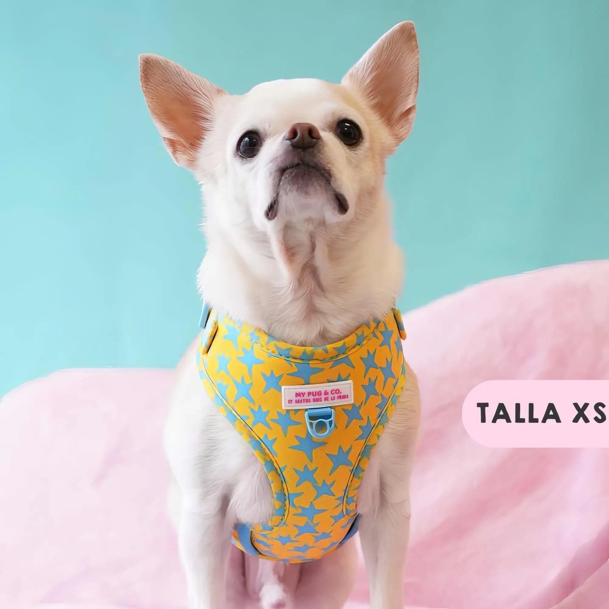 ARNES AJUSTABLE ESTRELLAS - Agatha Ruiz de la Prada