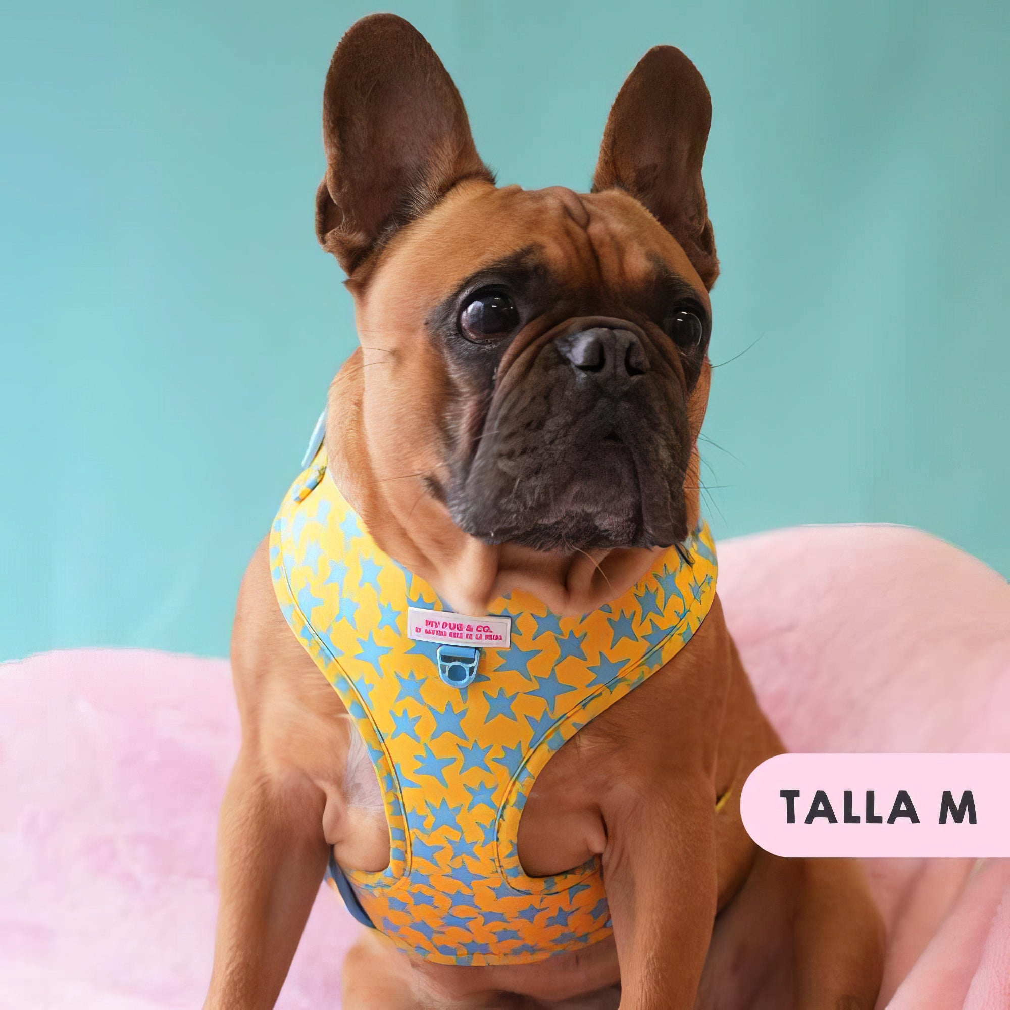 ARNES AJUSTABLE ESTRELLAS