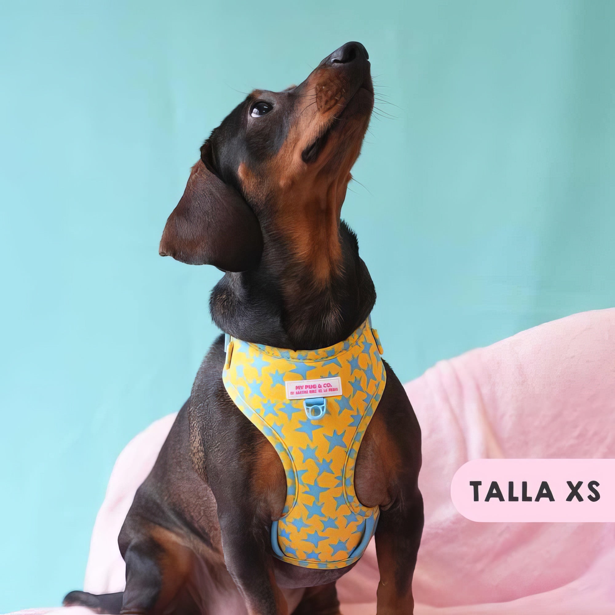 ARNES AJUSTABLE ESTRELLAS