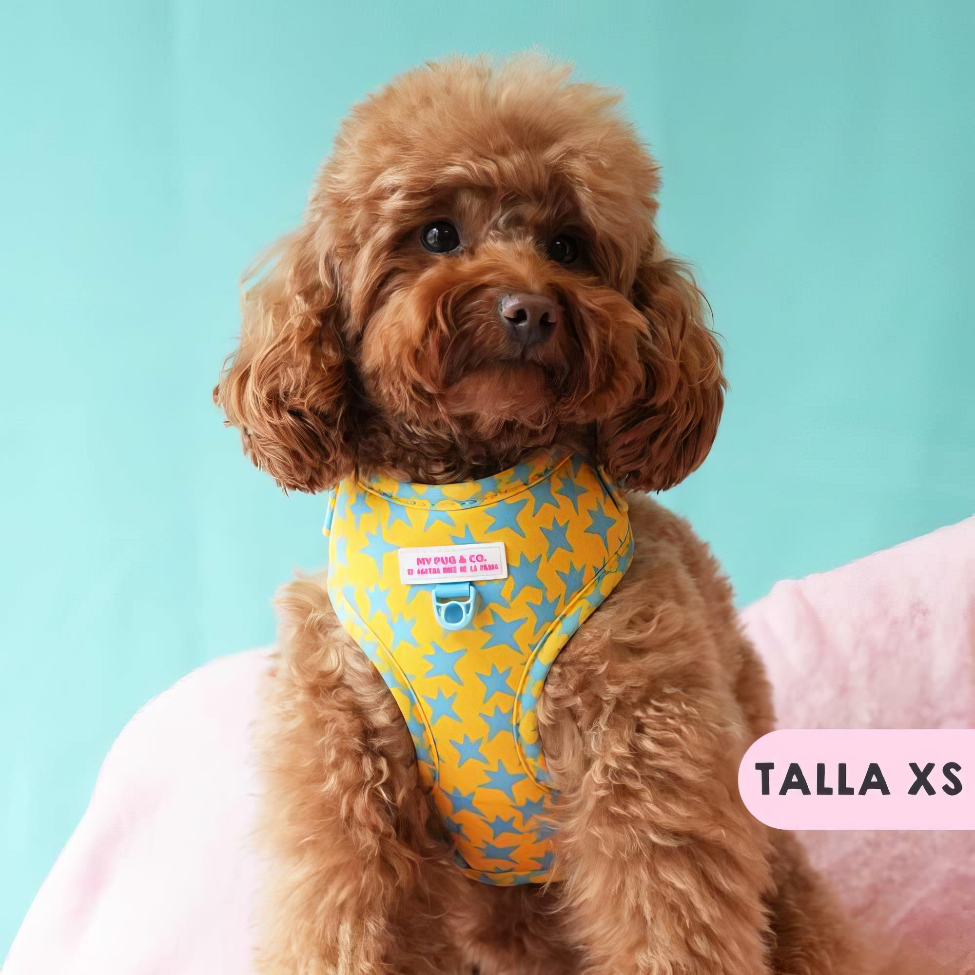 ARNES AJUSTABLE ESTRELLAS