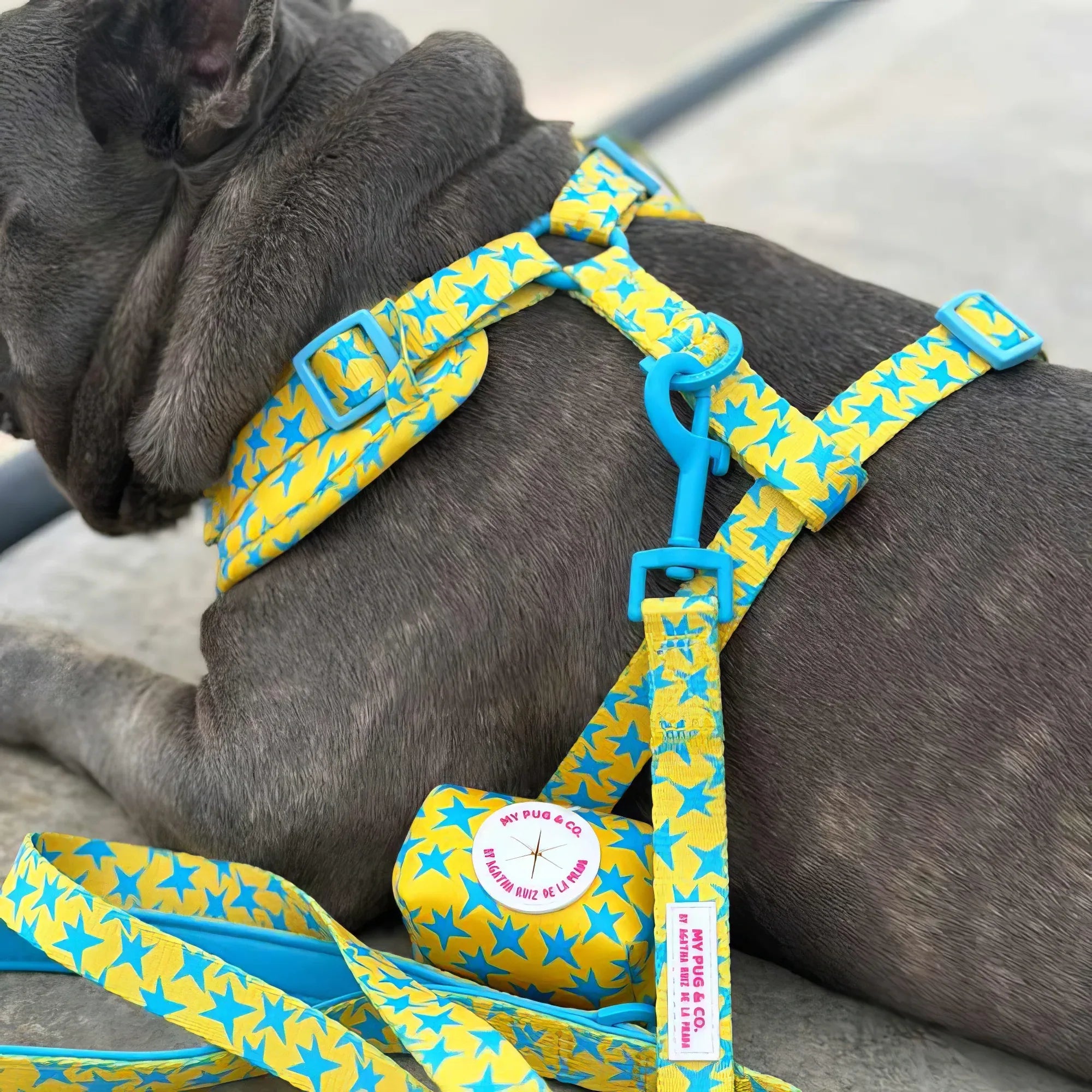 ARNES AJUSTABLE ESTRELLAS - Agatha Ruiz de la Prada