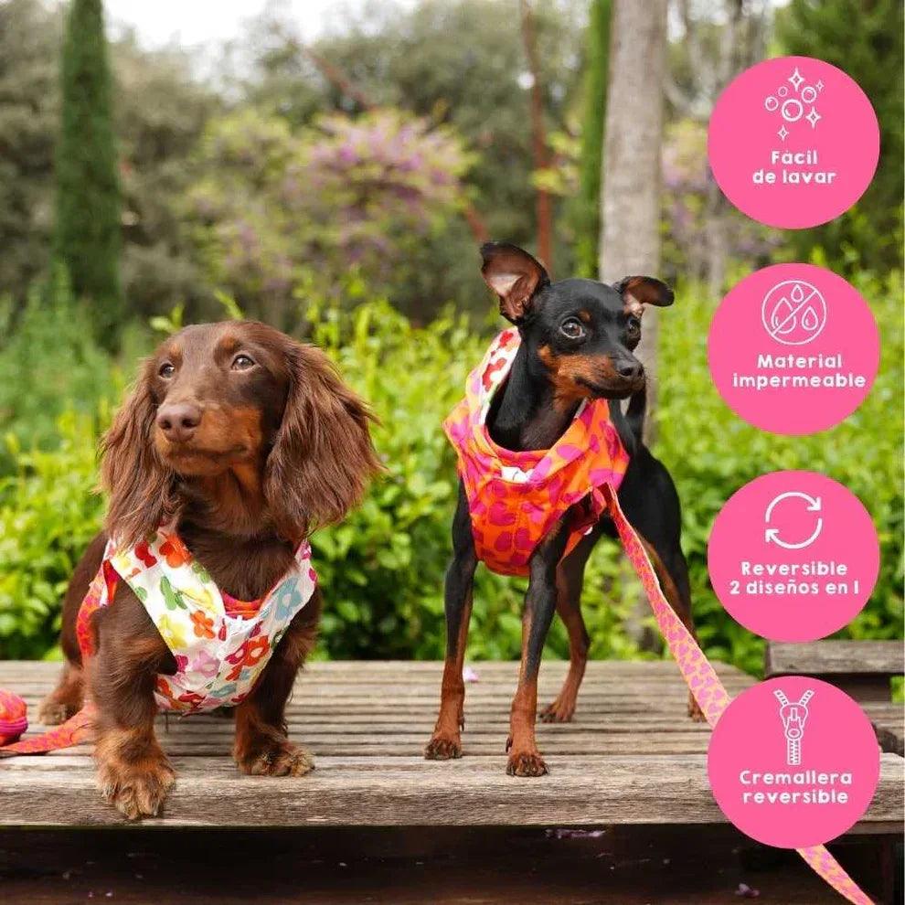 Chubasquero para perro reversible con capucha, estampado floral y de corazones