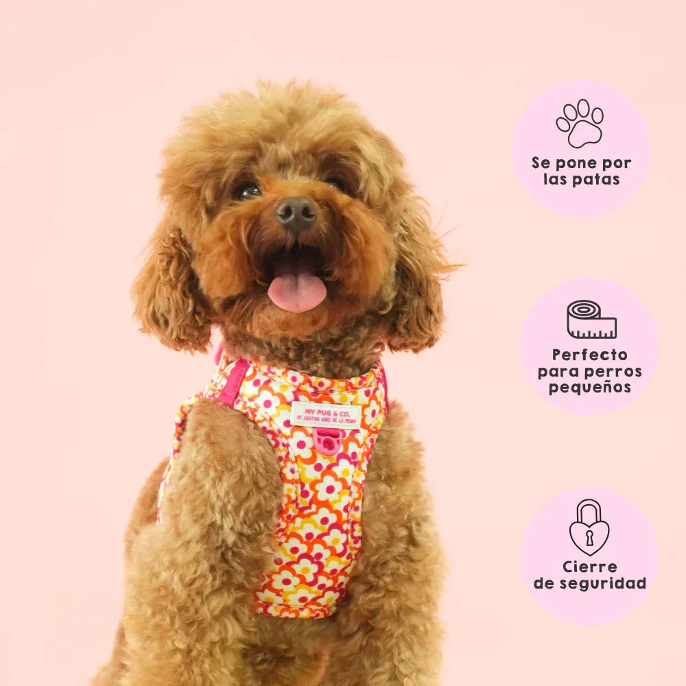 BODY FLORES POP - Agatha Ruiz de la Prada