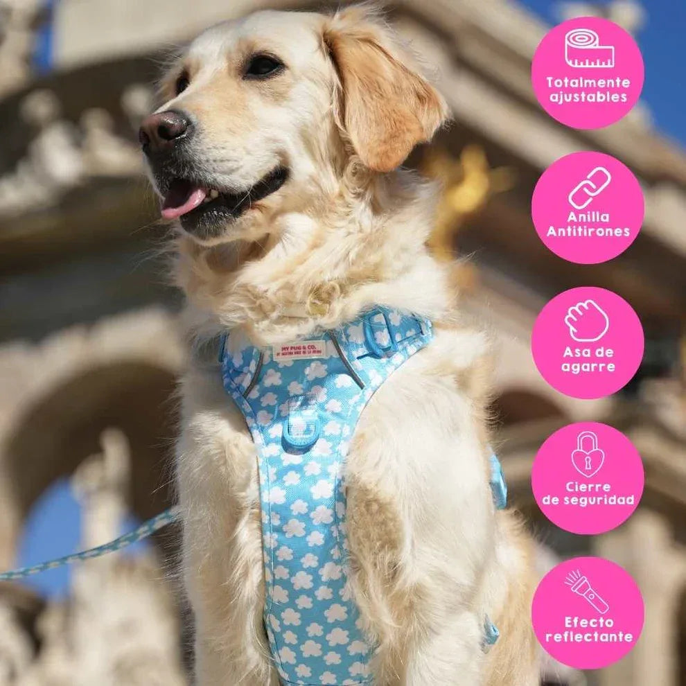 ARNES TODOTERRENO NUBES - Agatha Ruiz de la Prada