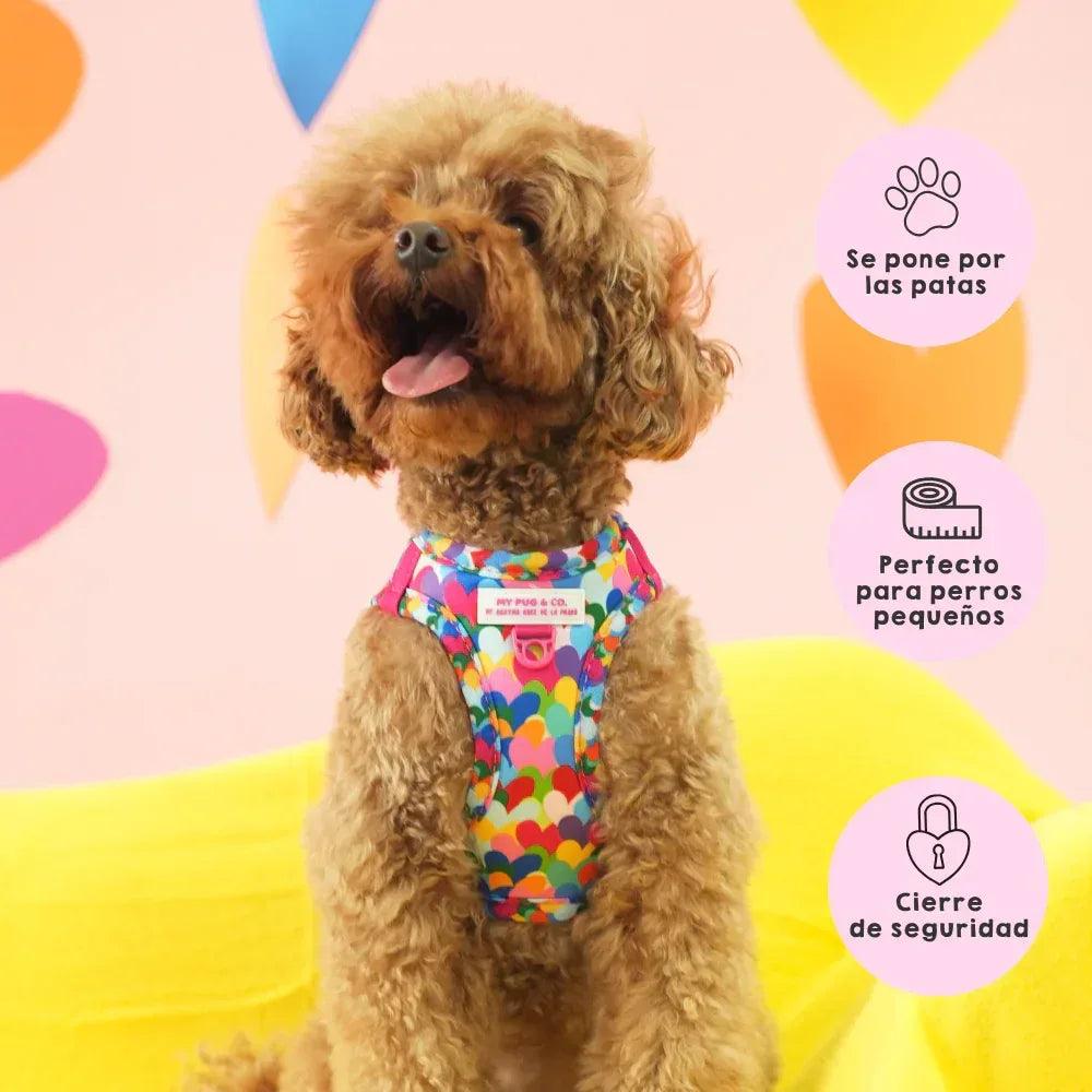 Body para mascota estampado de corazones multicolor con cuello y cierre seguro.