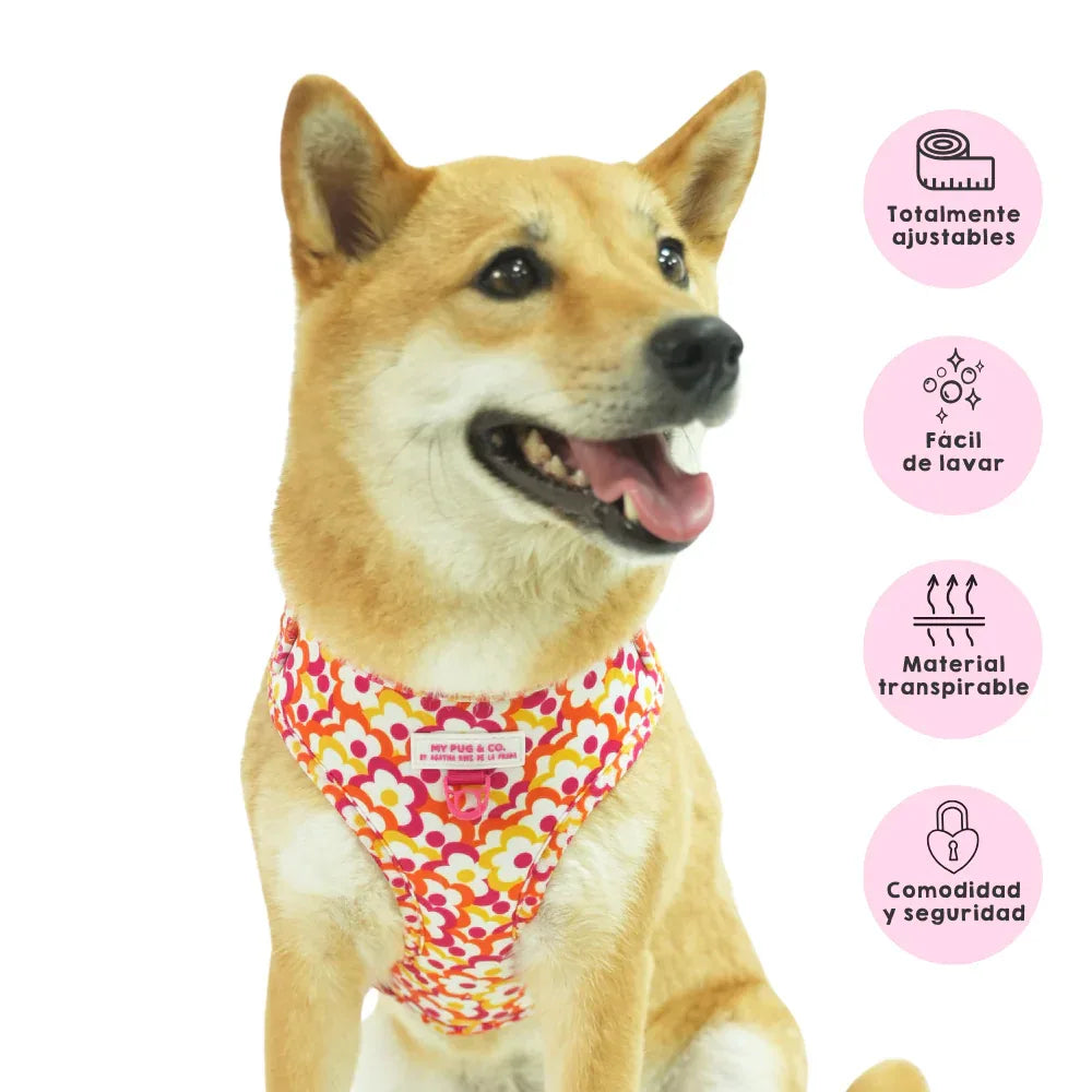 ARNES AJUSTABLE FLORES POP - Agatha Ruiz de la Prada