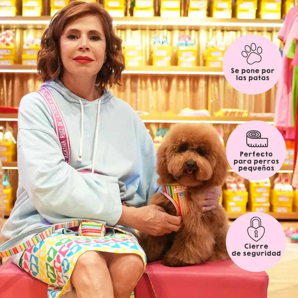 Arnés ajustable arcoíris para perro con cierre seguro y tirantes frontales