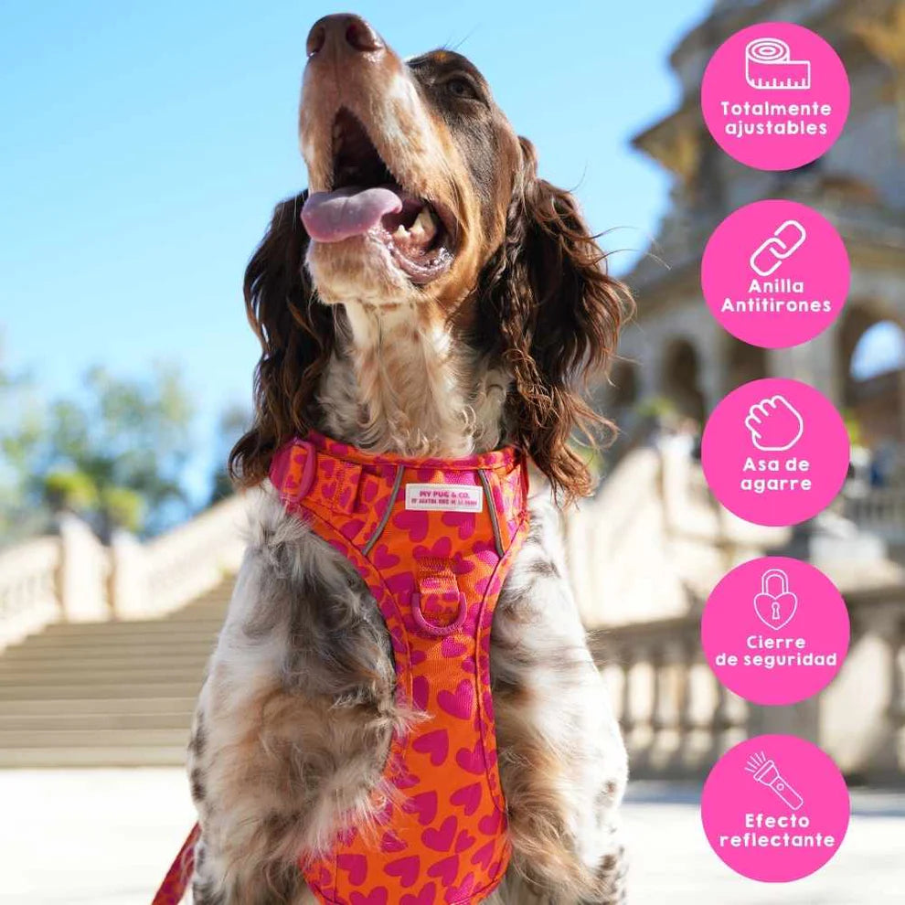 ARNES TODOTERRENO CORAZONES