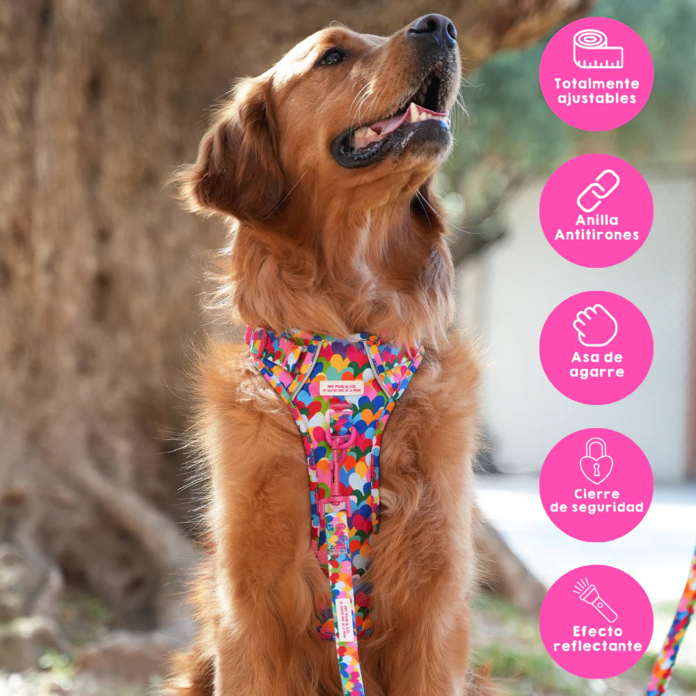 ALL-TERRAIN HARNESS HEARTS