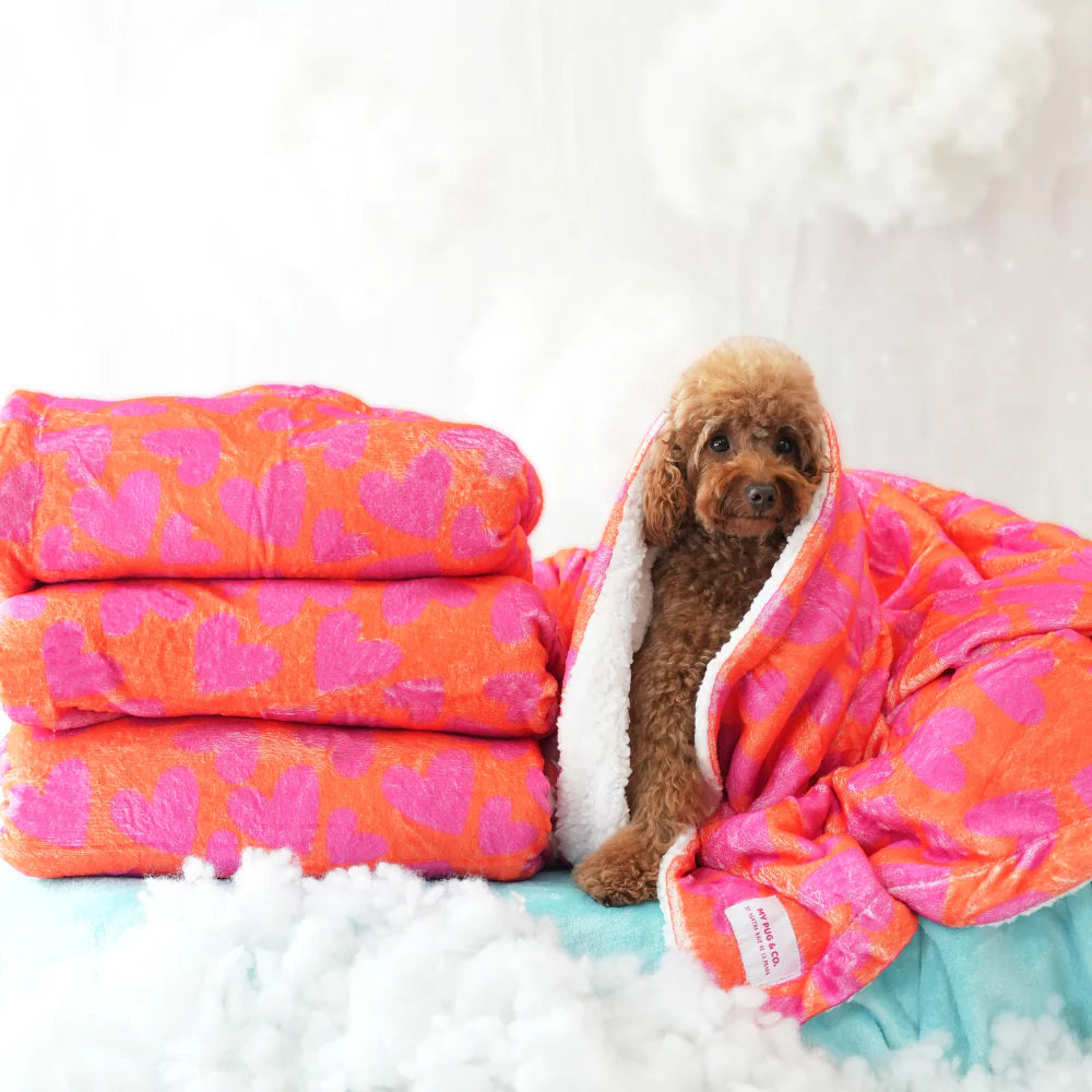 Manta Corazones para Perros