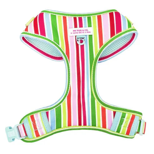 ARNES AJUSTABLE ARCOIRIS - Agatha Ruiz de la Prada