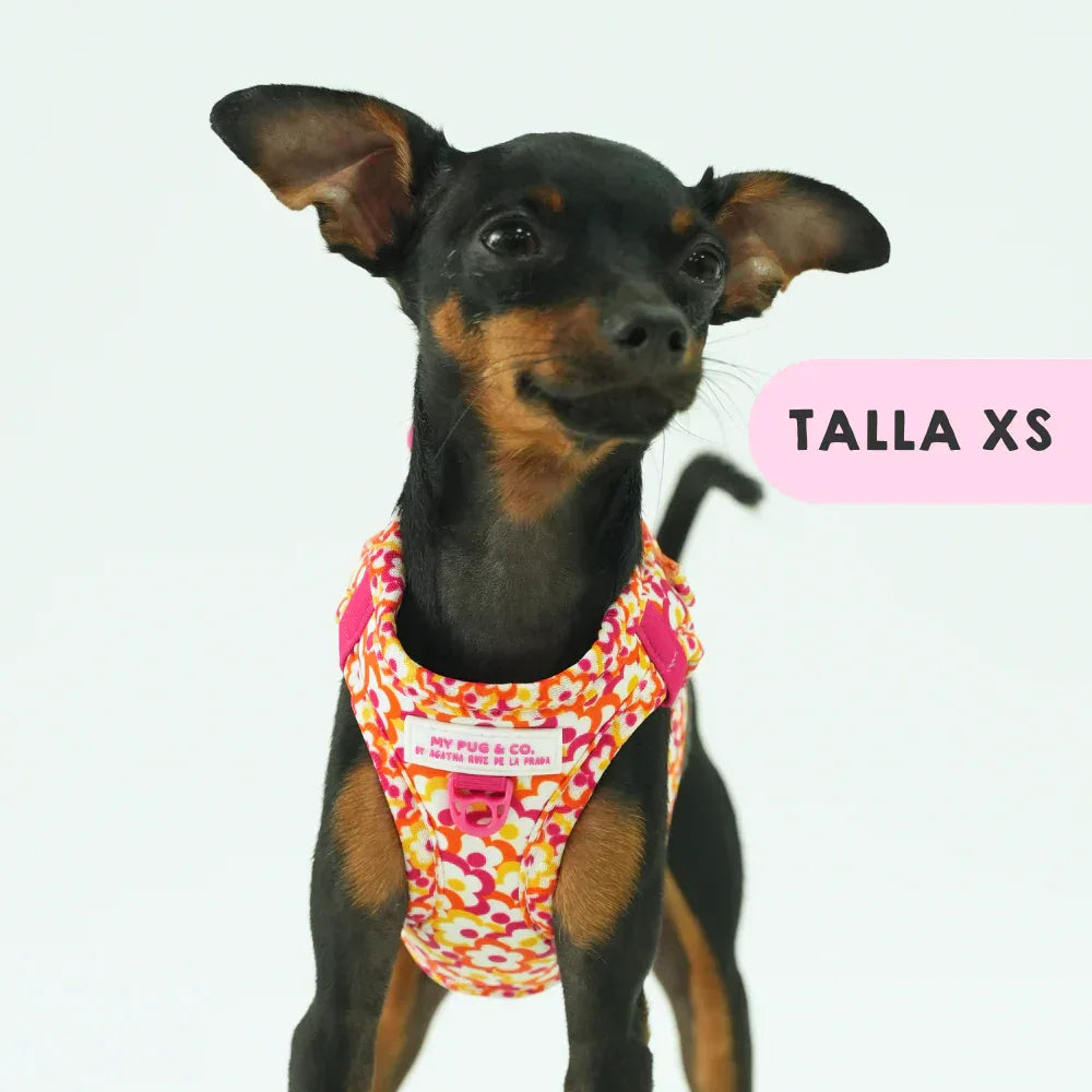 BODY FLORES POP - Agatha Ruiz de la Prada