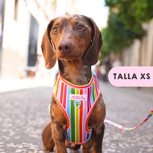 ARNES AJUSTABLE ARCOIRIS