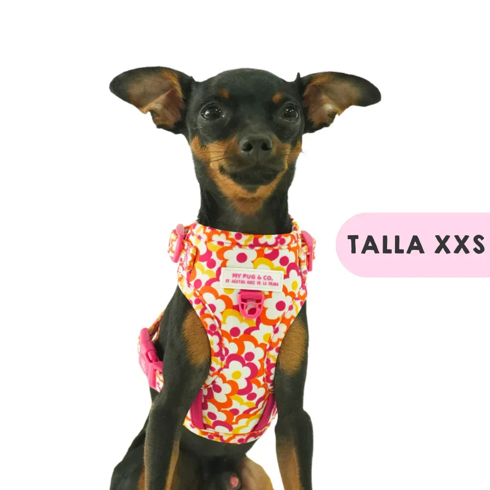 ARNES AJUSTABLE FLORES POP - Agatha Ruiz de la Prada