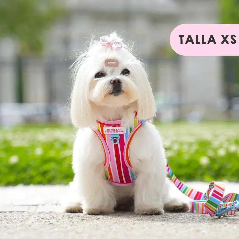 Arnés ajustable arcoíris para perro con rayas multicolor y soporte frontal