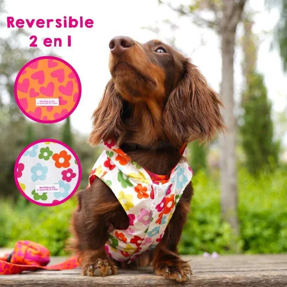 Chubasquero reversible para perro con capucha, lados de corazones y flores