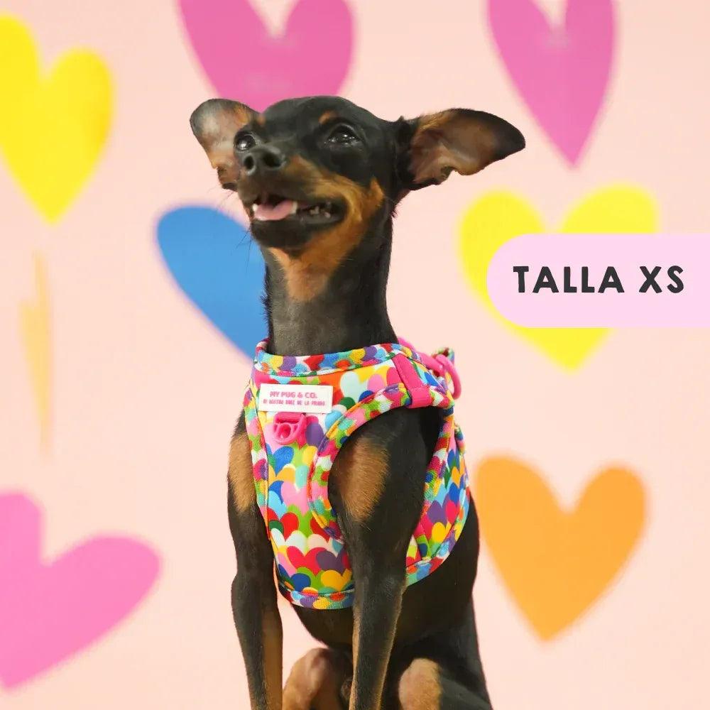 Body para perro con estampado de corazones, tiras laterales y cierre ajustable.