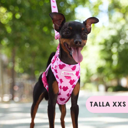 ADJUSTABLE KISSES HARNESS