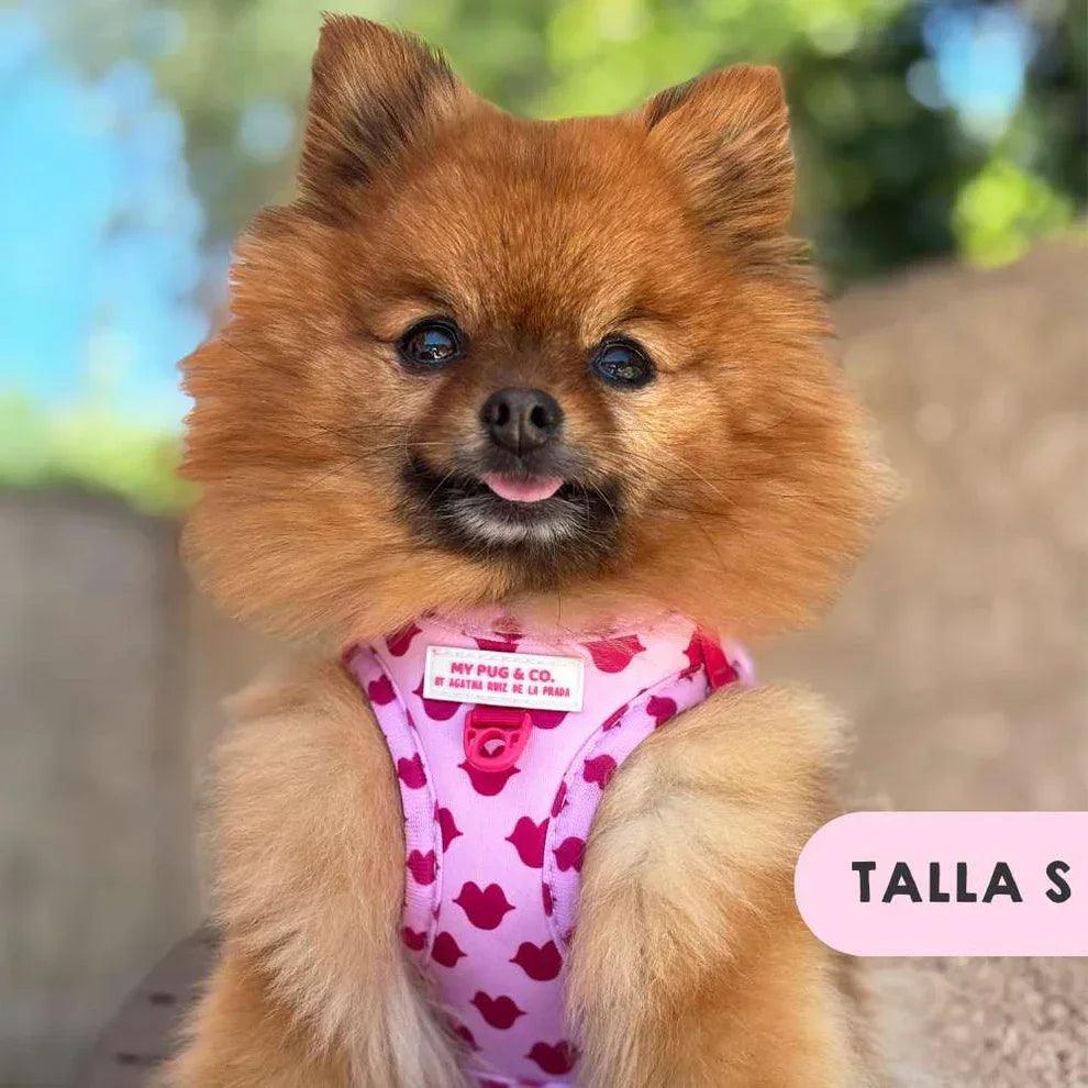 Chaleco ajustable para perro con estampado de corazones fucsia y blanco en el pecho