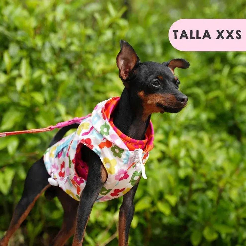 Chubasquero para perro con capucha, estampado floral multicolor con vivos rojos