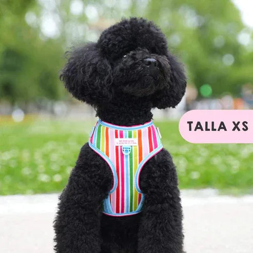 ARNES AJUSTABLE ARCOIRIS - Agatha Ruiz de la Prada