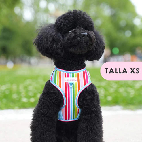 ARNES AJUSTABLE ARCOIRIS