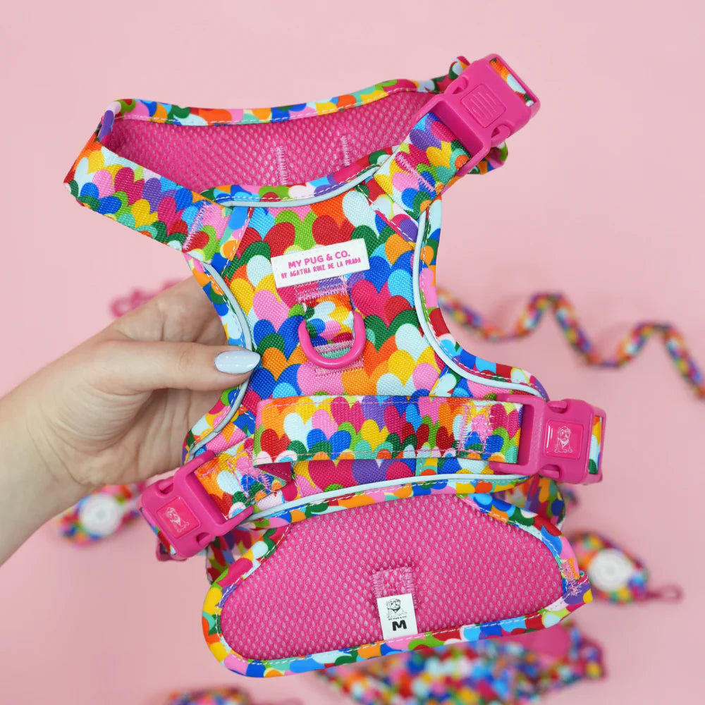 ALL-TERRAIN HARNESS HEARTS