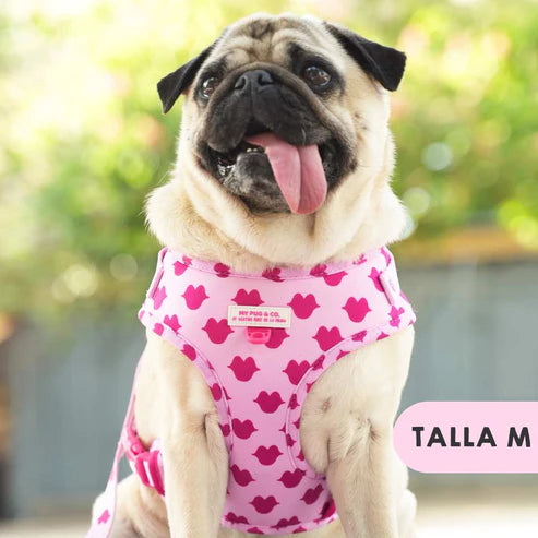 ADJUSTABLE KISSES HARNESS