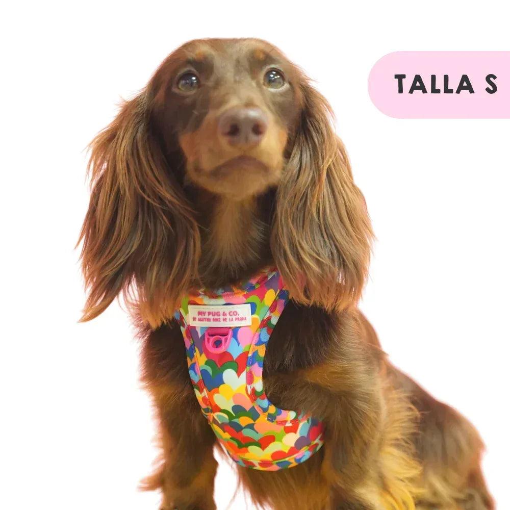 Body para perro estampado multicolor de corazones con abertura trasera ajustable.