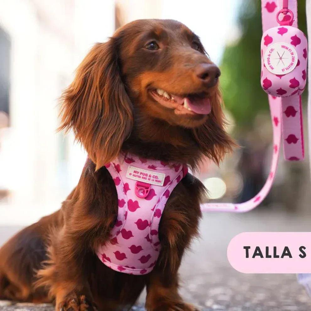 Chaleco ajustable para perro con estampado de corazones fucsia, con tirantes