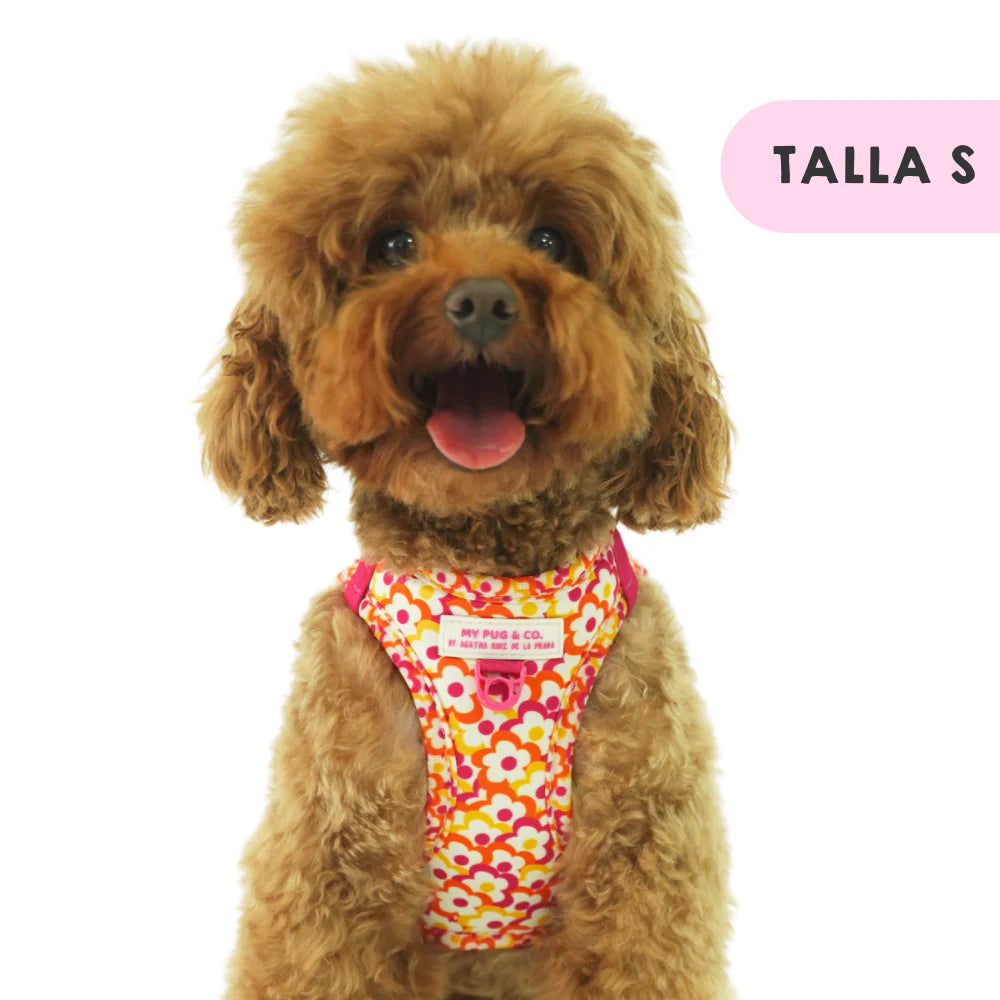 BODY HARNESS FLOWERS POP