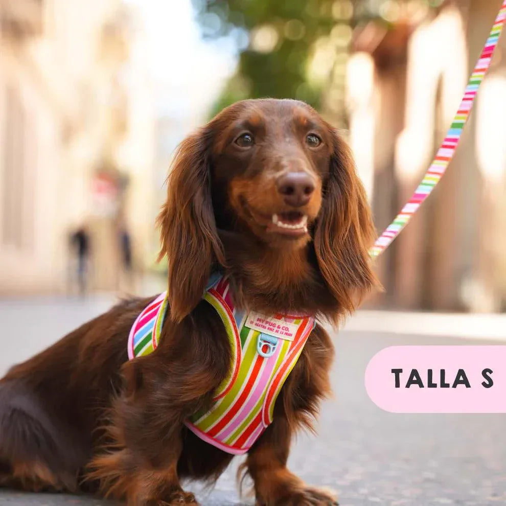 BODY AJUSTABLE ARCOIRIS - Agatha Ruiz de la Prada