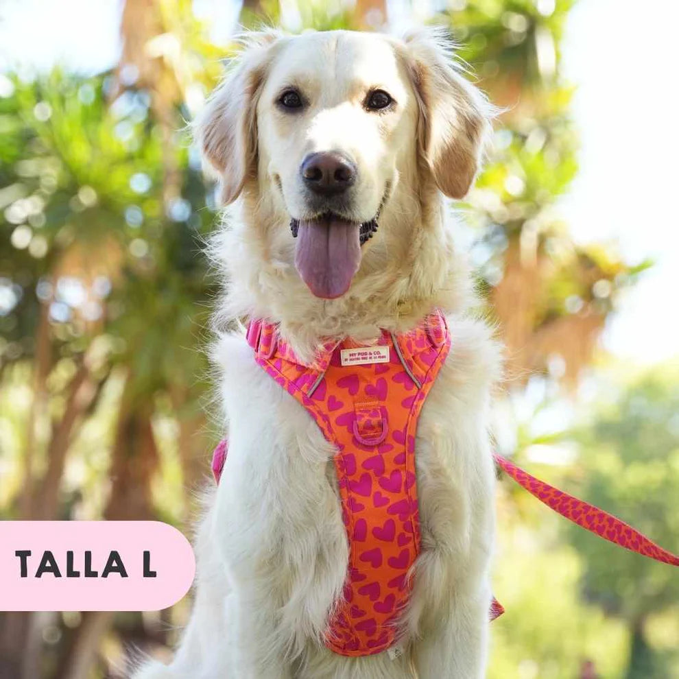 ARNES TODOTERRENO CORAZONES