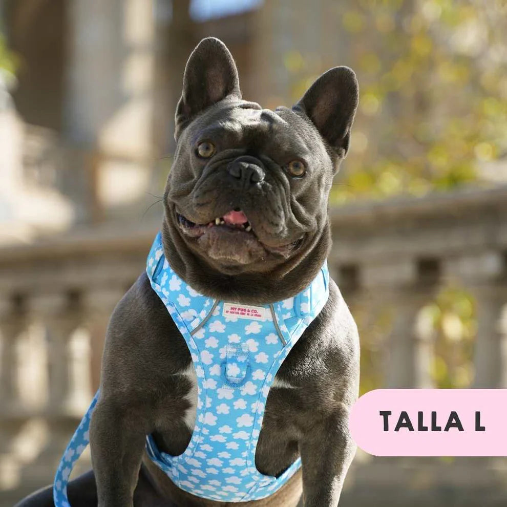 ALL-TERRAIN HARNESS CLOUDS