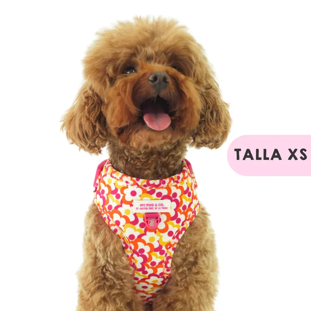 ARNES AJUSTABLE FLORES POP - Agatha Ruiz de la Prada