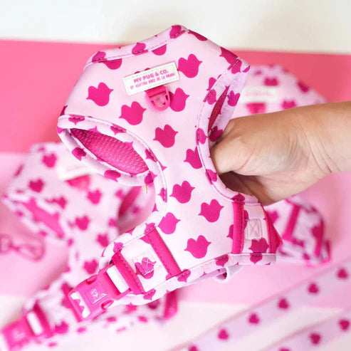 ADJUSTABLE KISSES HARNESS