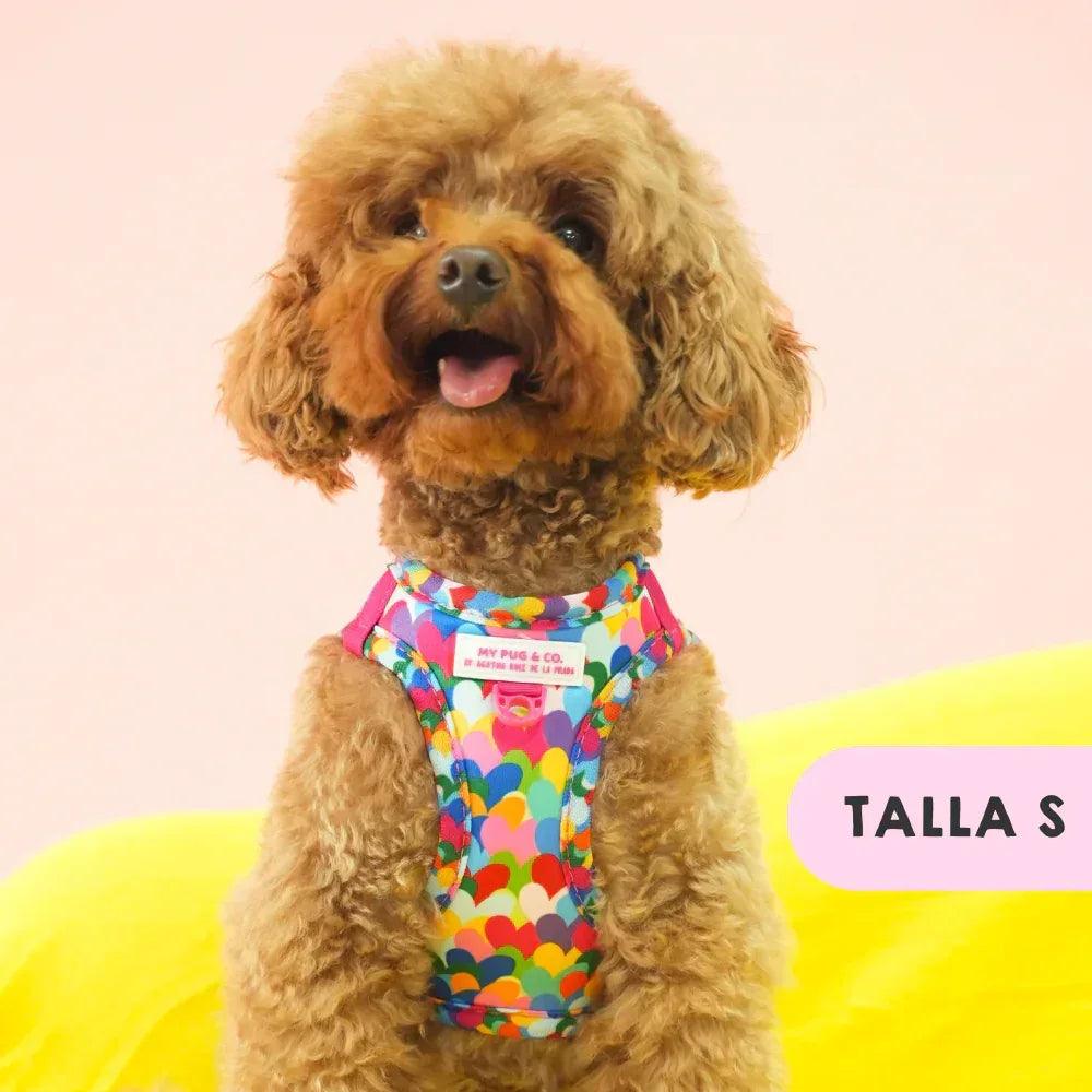 Body para mascota con estampado de corazones de colores y panel frontal rosa.