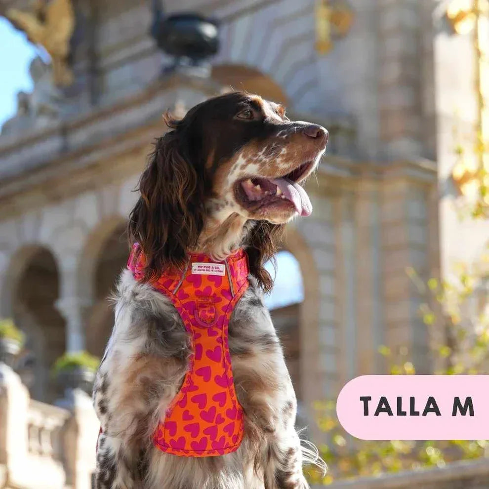 ARNES TODOTERRENO CORAZONES - Agatha Ruiz de la Prada