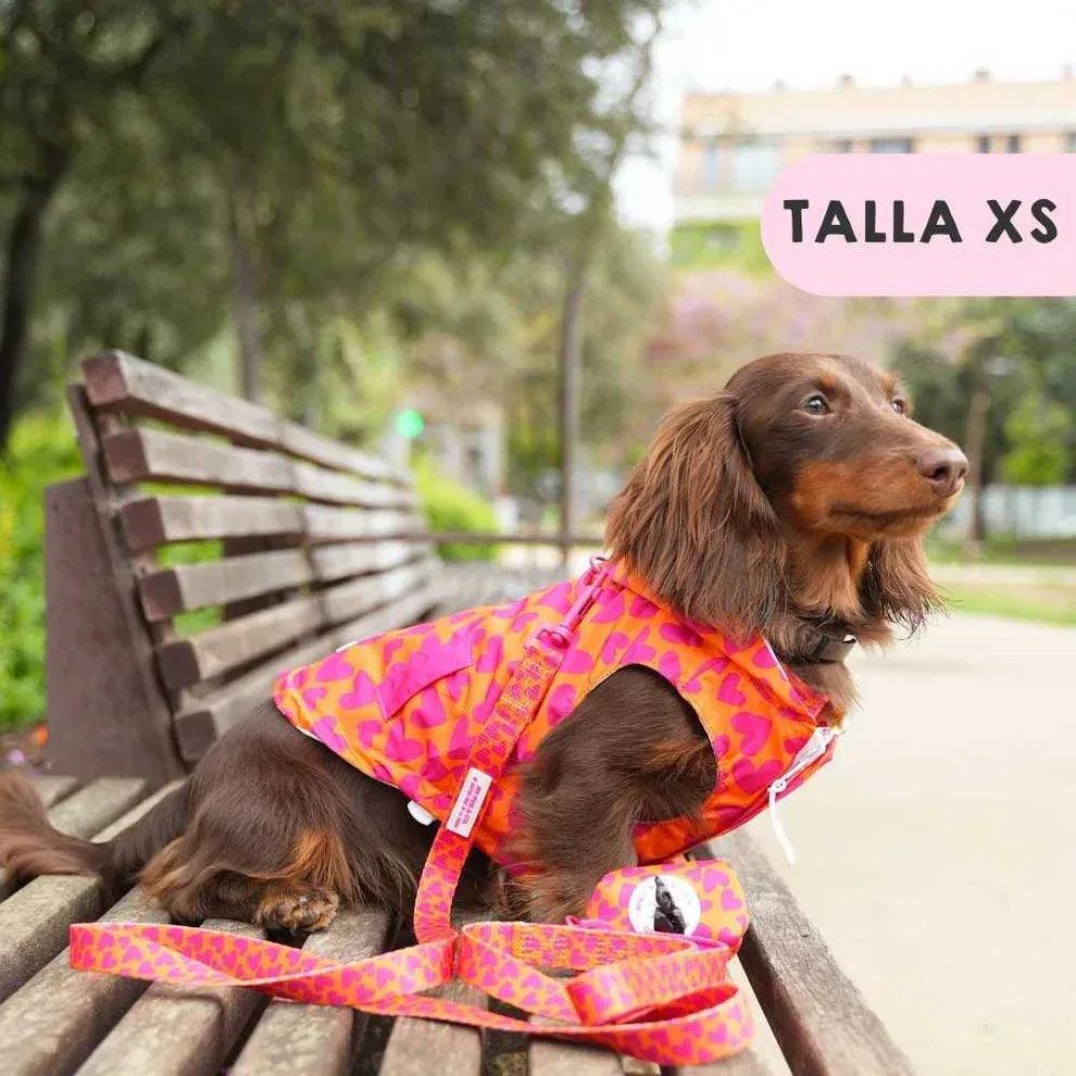 Chubasquero para perro con capucha, estampado de corazones visto de lado, rosa y naranja