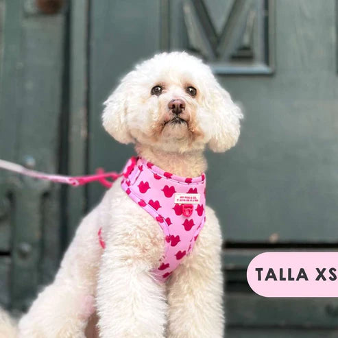 ADJUSTABLE KISSES HARNESS