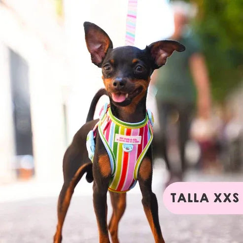 ARNES AJUSTABLE ARCOIRIS - Agatha Ruiz de la Prada