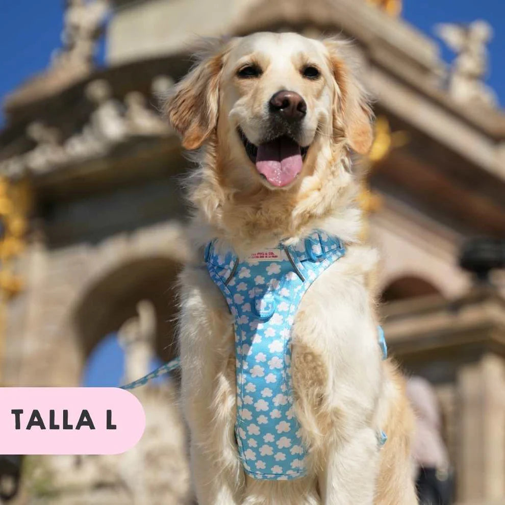 ALL-TERRAIN HARNESS CLOUDS