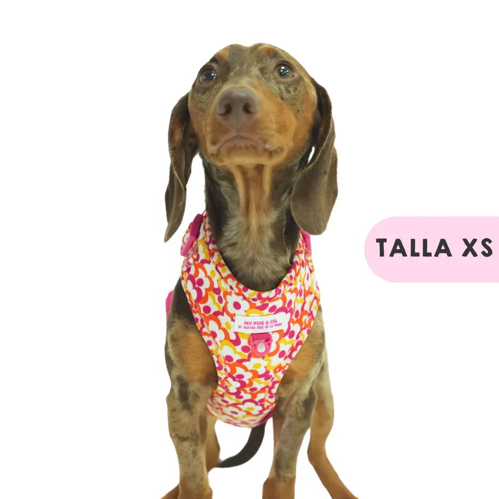 ARNES AJUSTABLE FLORES POP - Agatha Ruiz de la Prada