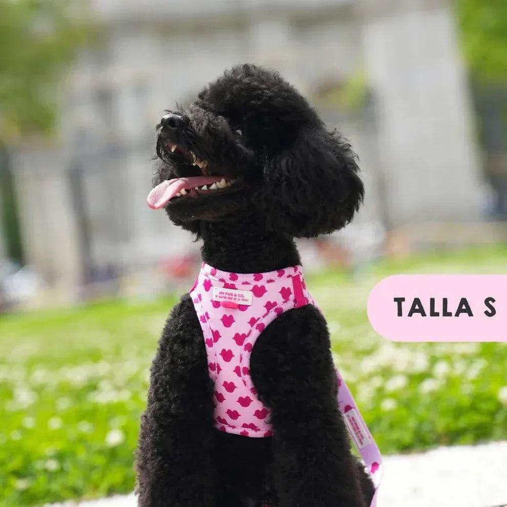 Chaleco ajustable para perro con estampado de corazones fucsia visto desde atrás