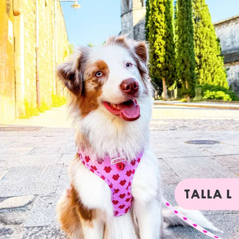 ADJUSTABLE KISSES HARNESS